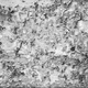 Illustration for article titled 36 Tantalizing Photos Of Textures